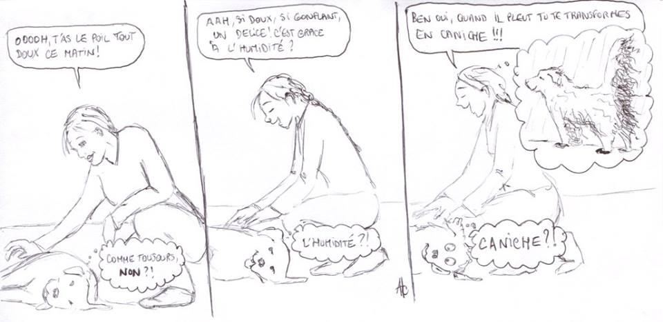 L'humidité...
