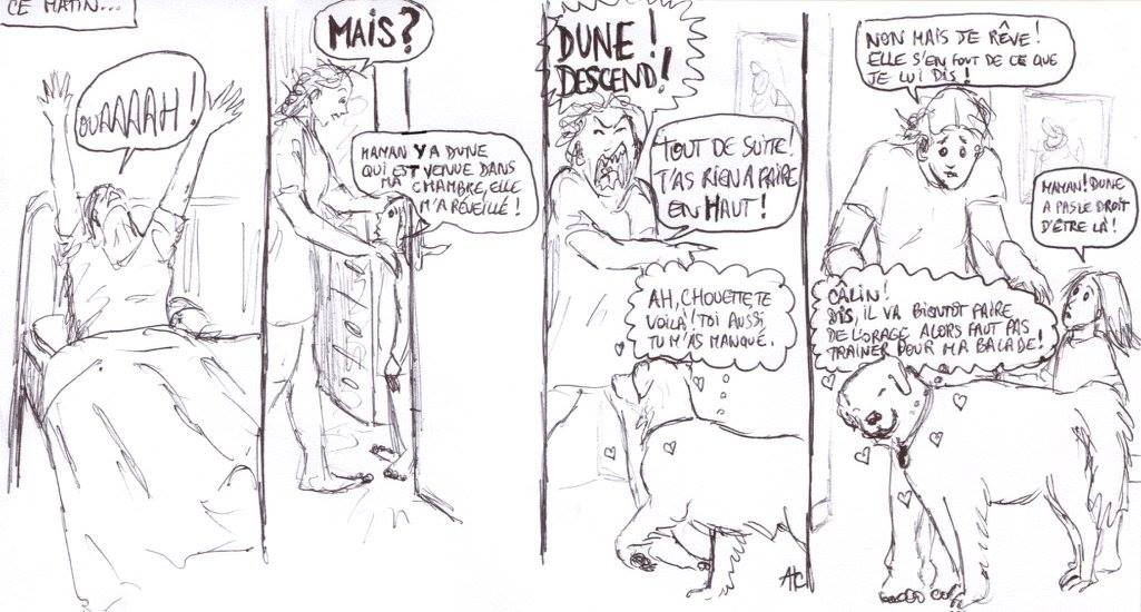 Je rêve!