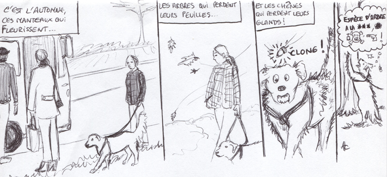 Un chêne, un gland